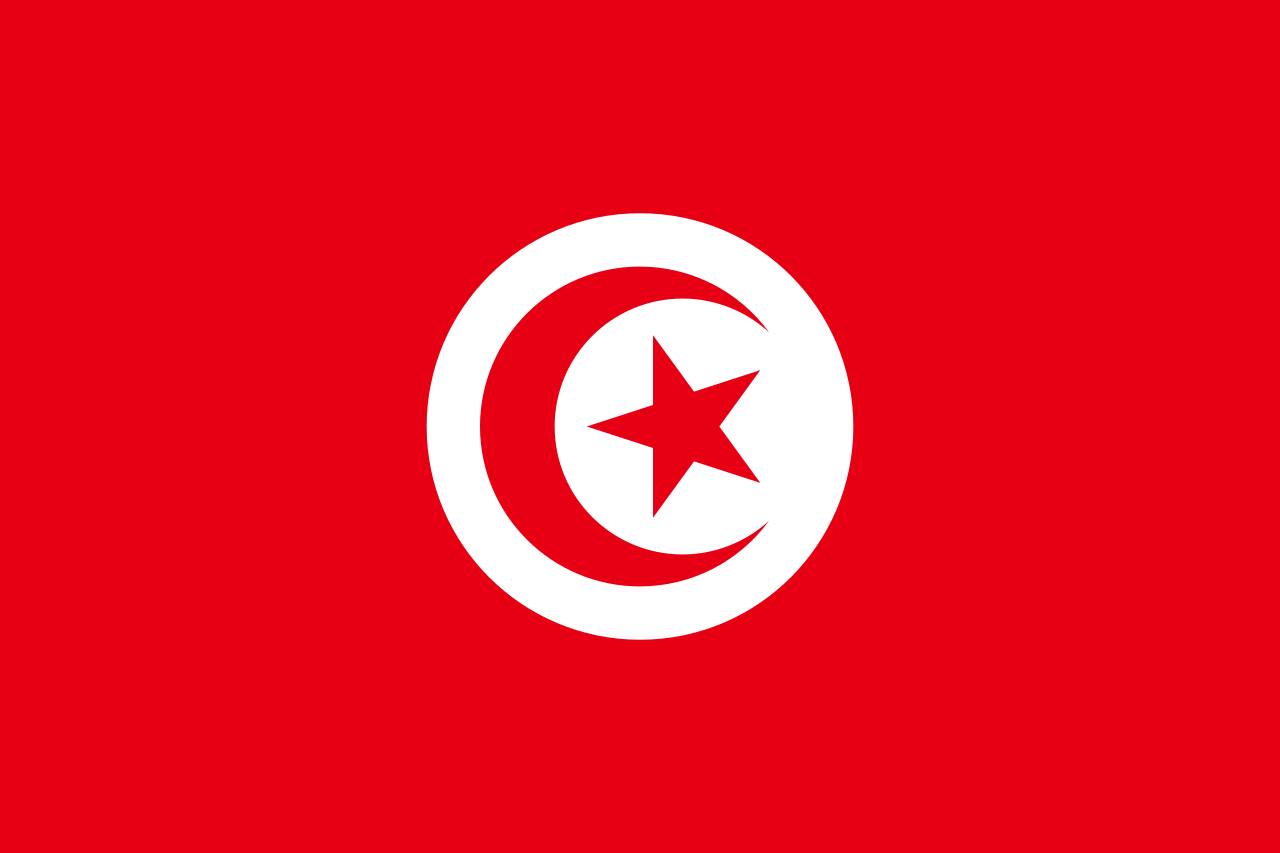 튀니지 국기